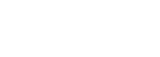 Animais de Rua